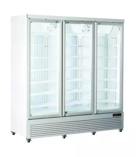 Szafa mroźnicza trzydrzwiowa gastronomiczna 1450 l, 1880x760x2040 mm | CoolHead, RFG1900 1